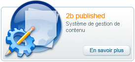 2b published